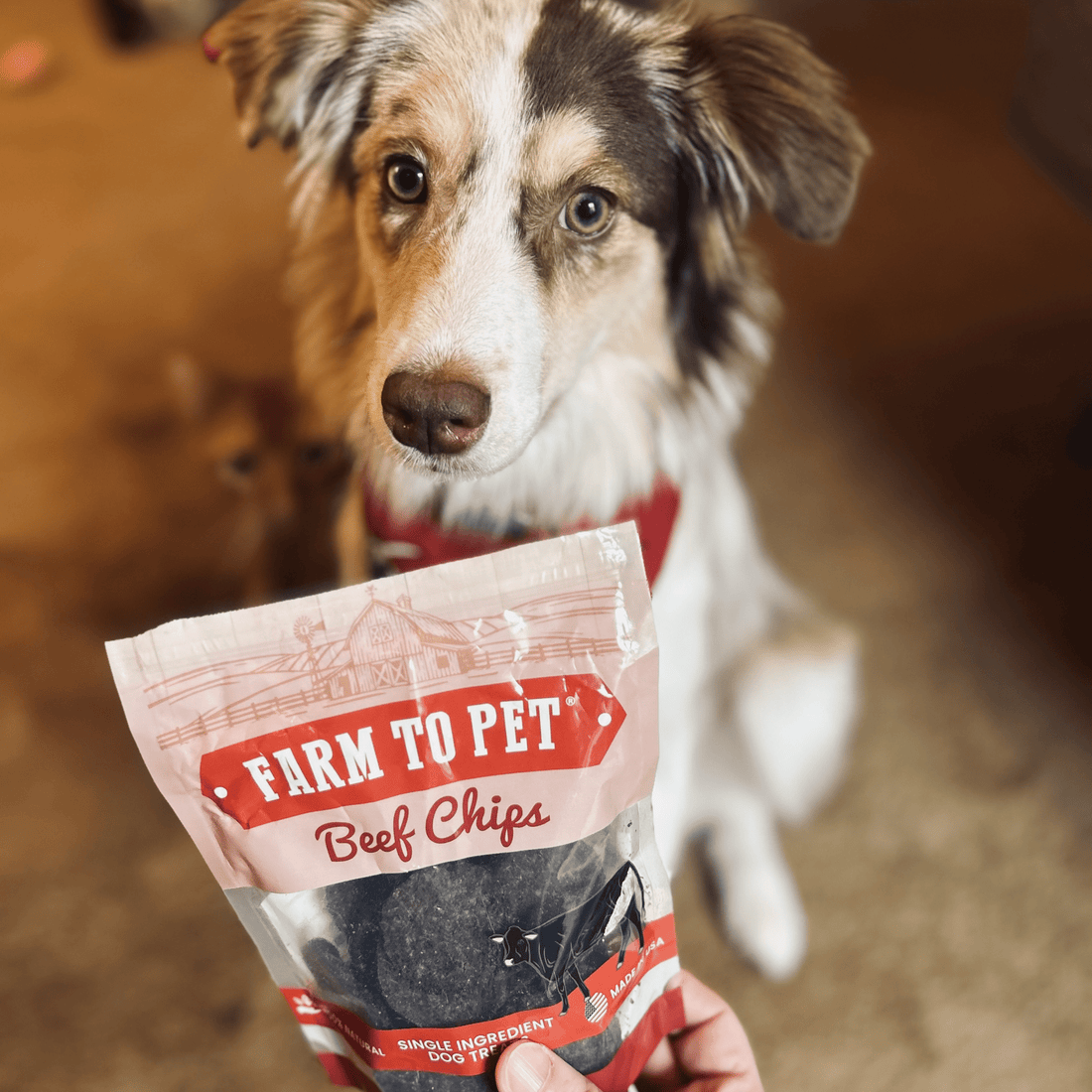 Puppy Packs 'N Snacks Dog Treat Starter - NALA'S Pet Closet