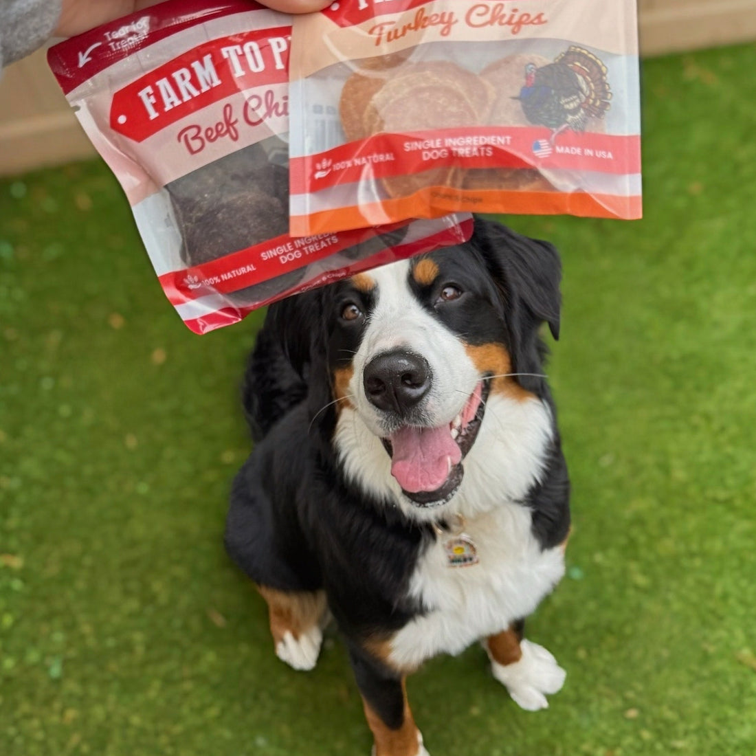 Puppy Packs 'N Snacks Dog Treat Starter - NALA'S Pet Closet