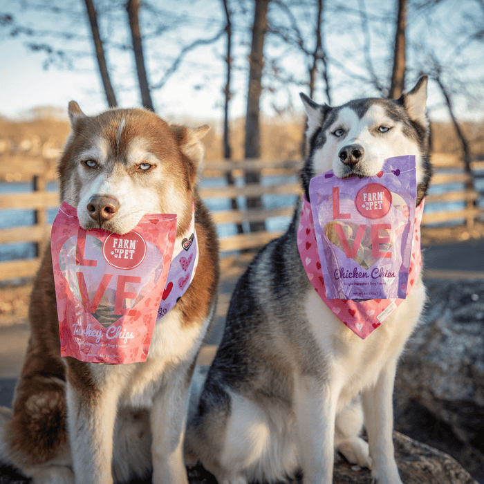 Doggy Love Chips Bundle