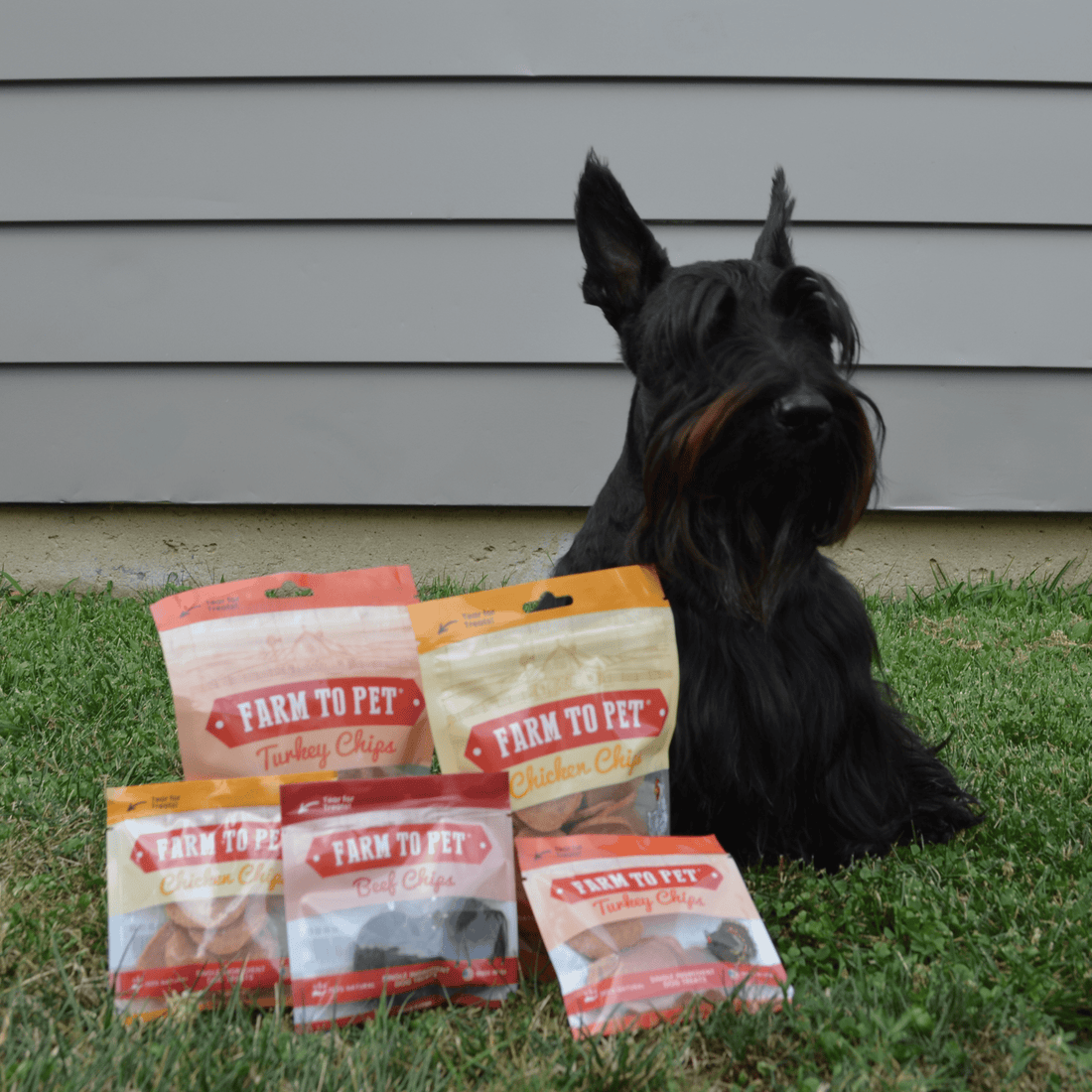 Puppy Packs 'N Snacks Dog Treat Starter - NALA'S Pet Closet
