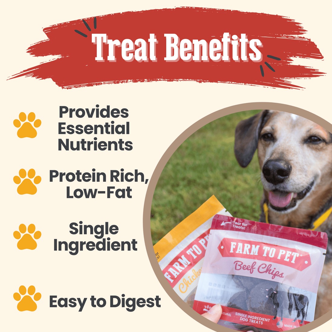 Puppy Packs 'N Snacks Dog Treat Starter - NALA'S Pet Closet