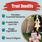 Puppy Packs 'N Snacks Dog Treat Starter - NALA'S Pet Closet