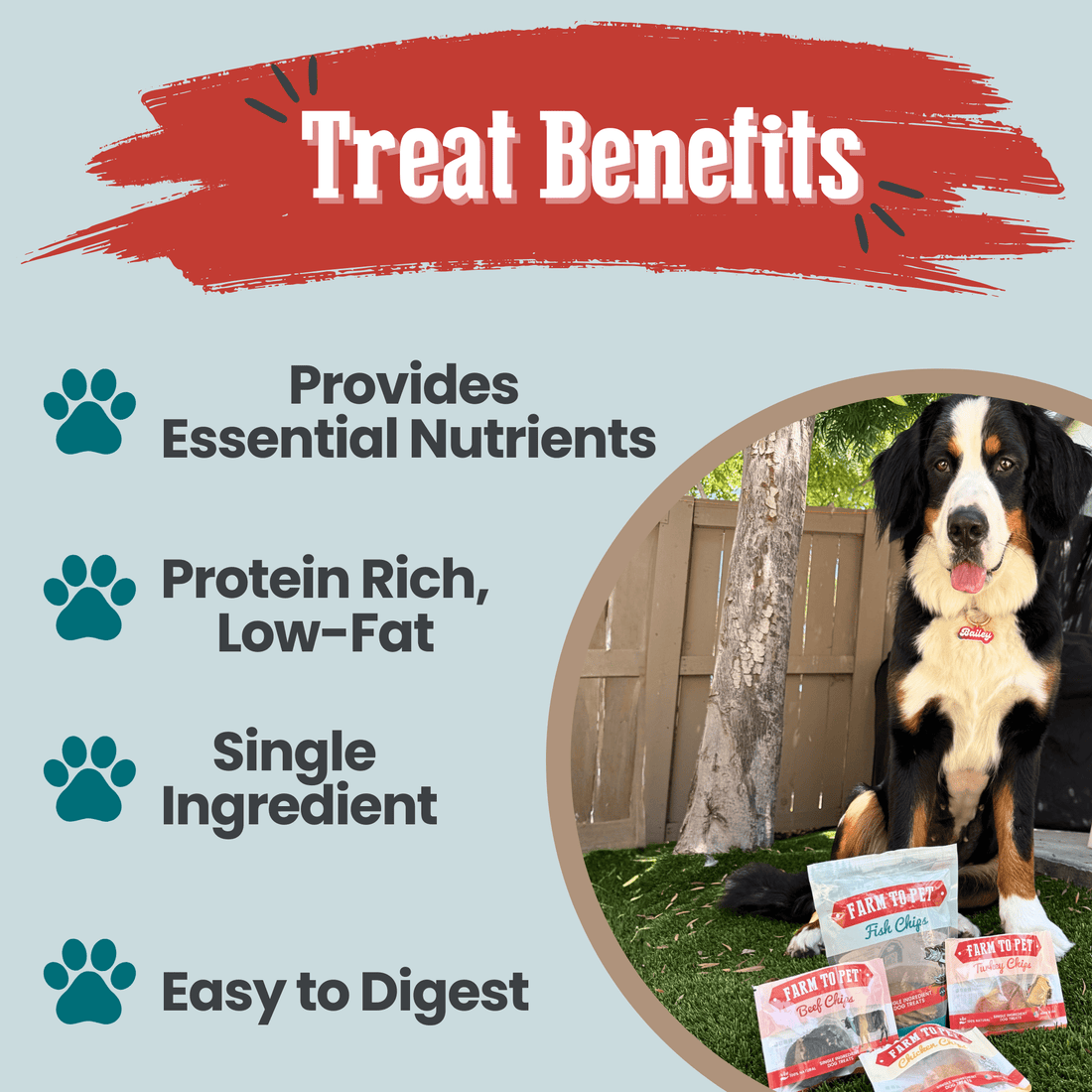 Puppy Packs 'N Snacks Dog Treat Starter - NALA'S Pet Closet