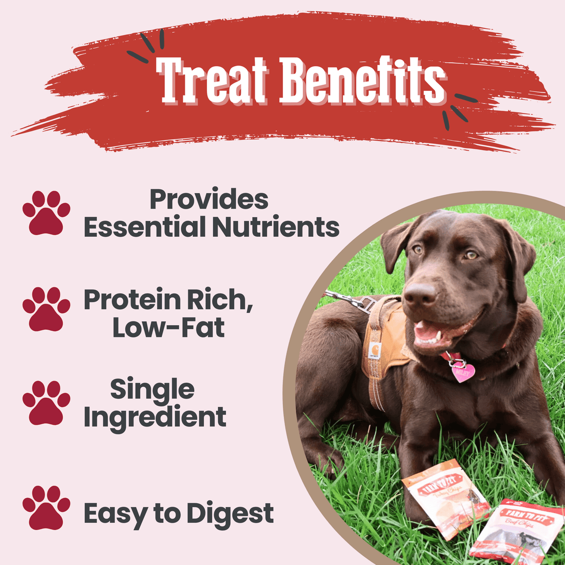 Puppy Packs 'N Snacks Dog Treat Starter - NALA'S Pet Closet