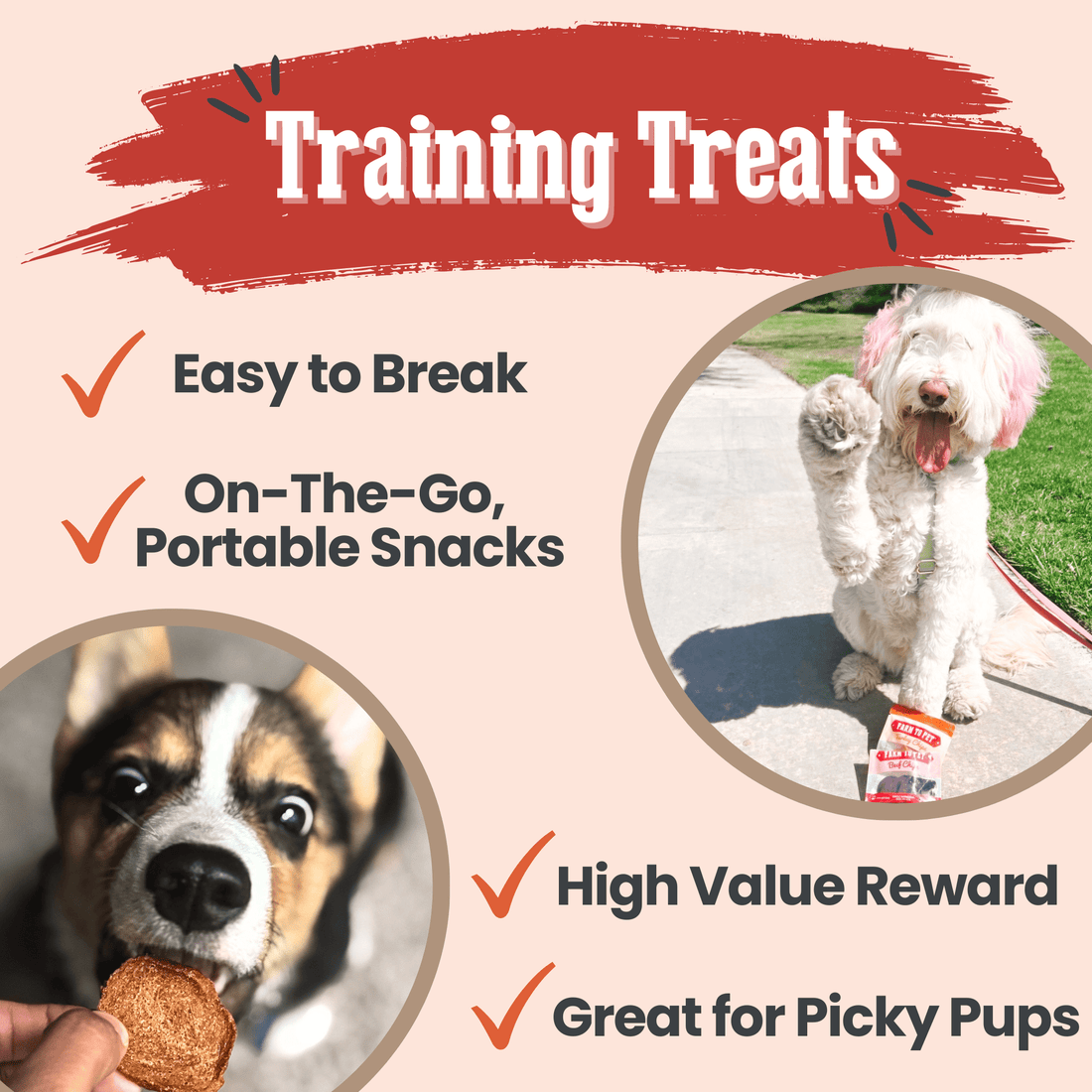 Puppy Packs 'N Snacks Dog Treat Starter - NALA'S Pet Closet