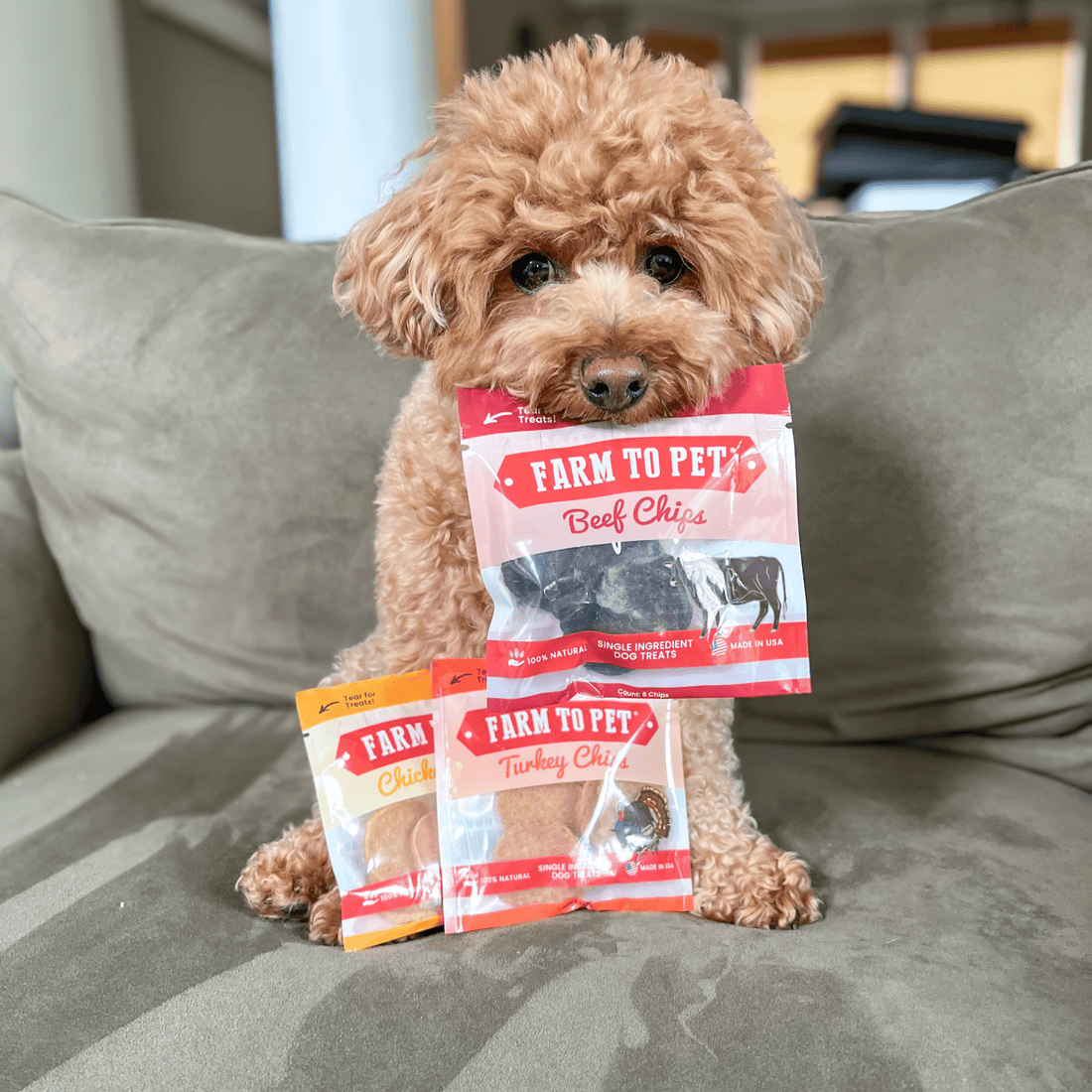 Puppy Packs 'N Snacks Dog Treat Starter - NALA'S Pet Closet