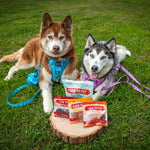 Puppy Packs 'N Snacks Dog Treat Starter - NALA'S Pet Closet