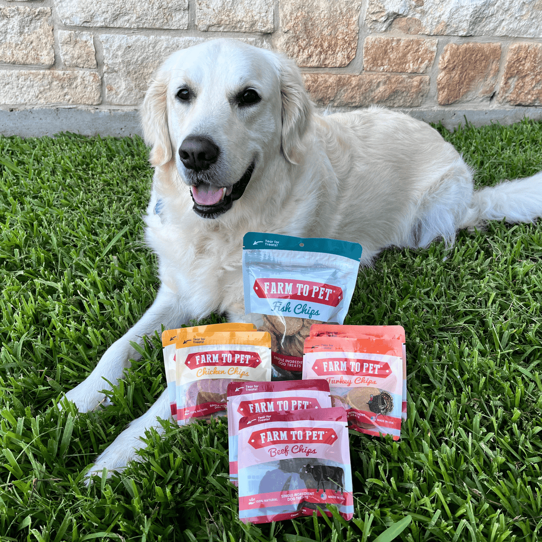 Puppy Packs 'N Snacks Dog Treat Starter - NALA'S Pet Closet