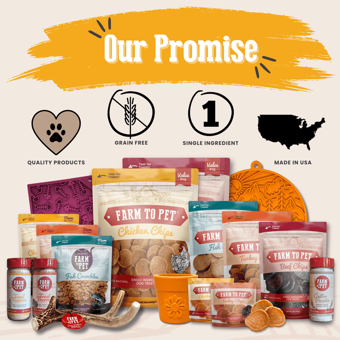 Chicken Treat Dog Food Topper