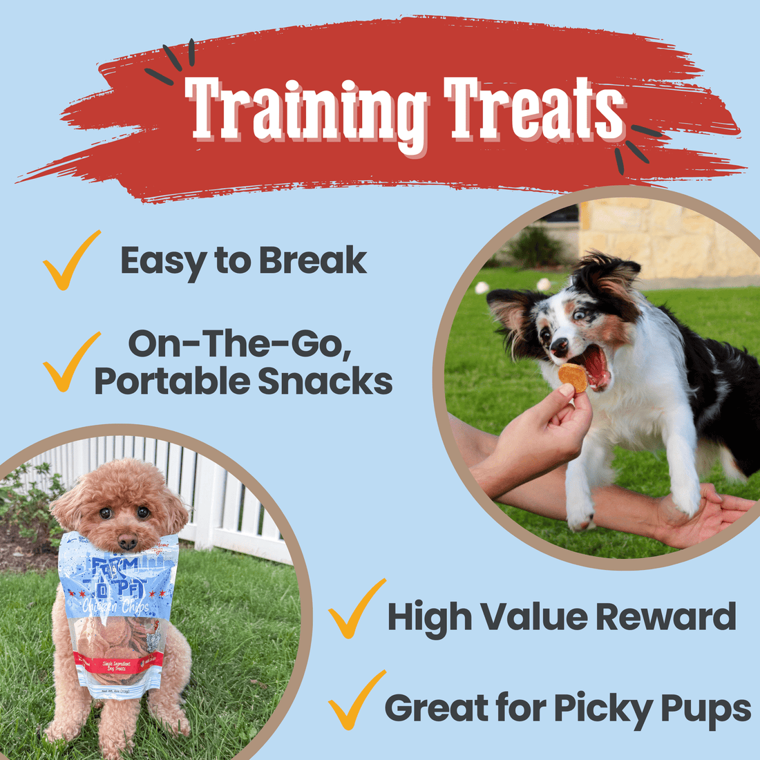 Chicago Chicken Chips for Dogs - NALA'S Pet Closet