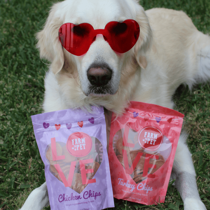 Doggy Love Chips Bundle - NALA'S Pet Closet