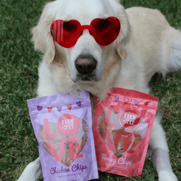 Doggy Love Chips Bundle