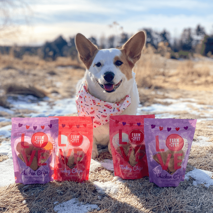 Doggy Love Chips Bundle - NALA'S Pet Closet