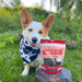 Beef Chips for Dogs - NALA'S Pet Closet