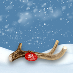 Deer Antler Dog Chews | Organic Chews for Dogs