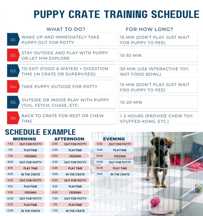 Digital Pet Consultant: WhatsApp Training and Tips Service - Limited Spots!