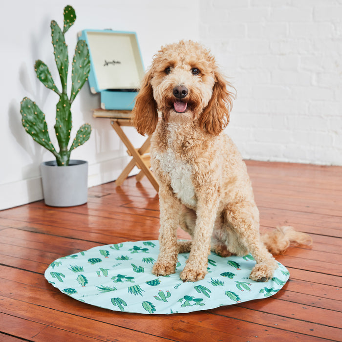 GF Pet Ice Mat