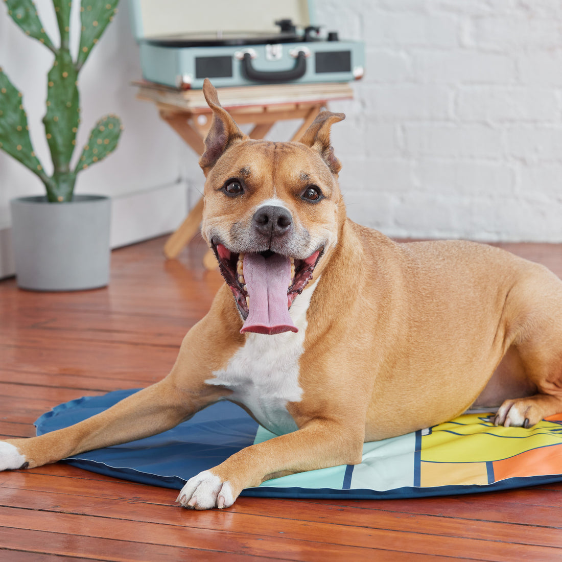GF Pet Ice Mat