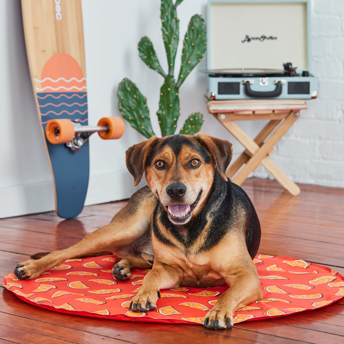 GF Pet Ice Mat