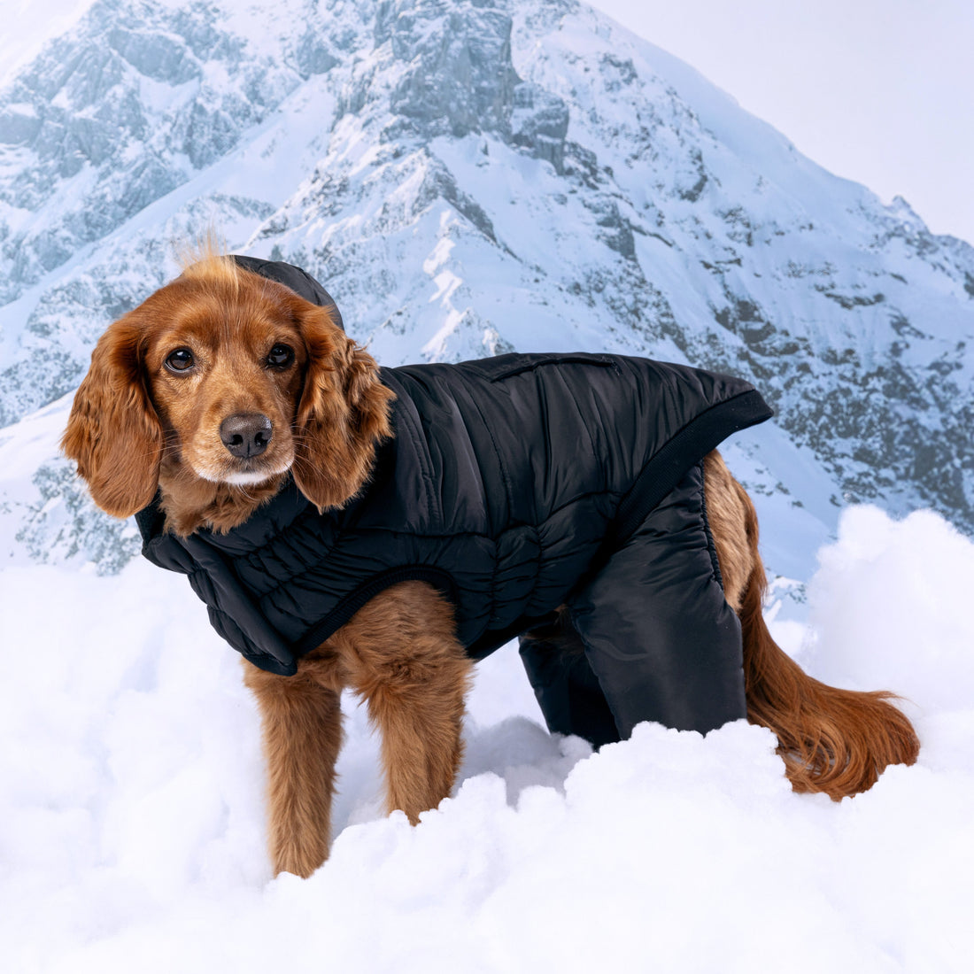 Odyssey Snowsuit