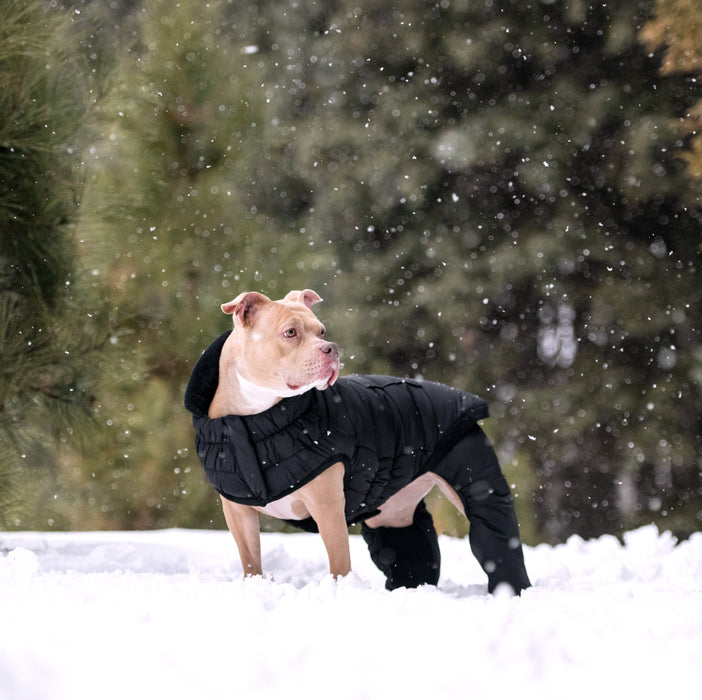 Odyssey Snowsuit