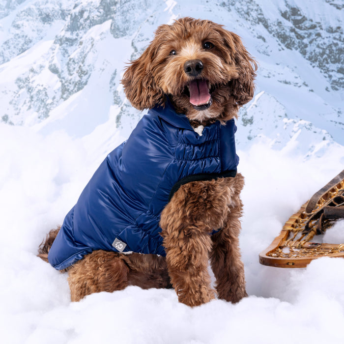 Lunar Glow Parka - NALA'S Pet Closet