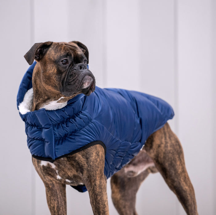 Lunar Glow Parka - NALA'S Pet Closet