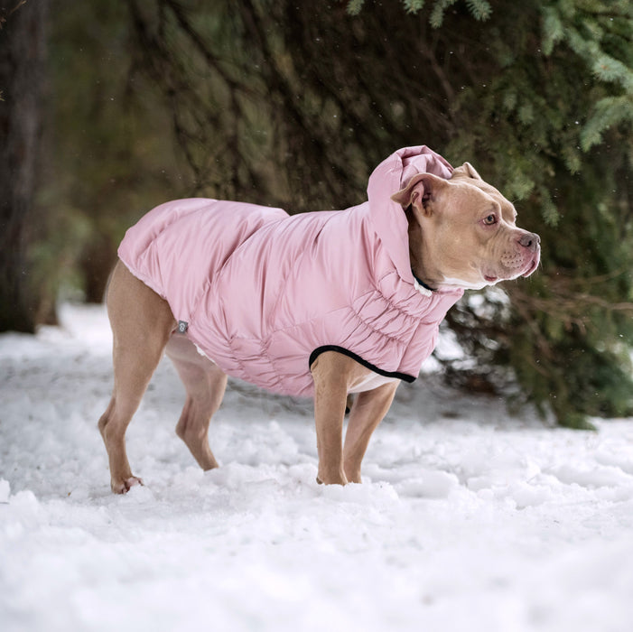 Lunar Glow Parka - NALA'S Pet Closet