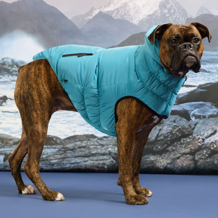 Storm Glide Parka