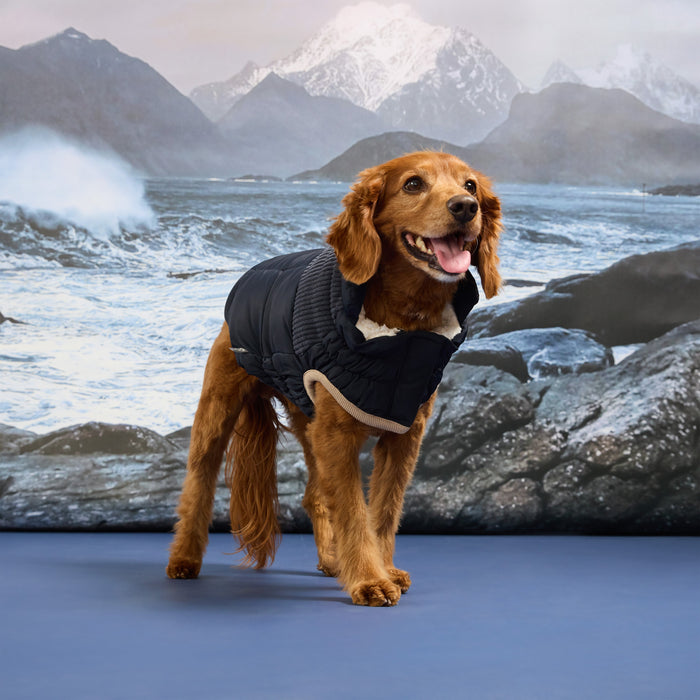 Cold Mountain Puffer