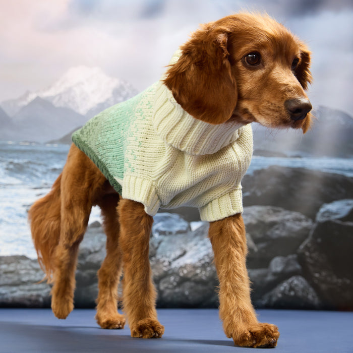 Fisherman Sweater