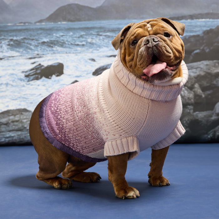 Fisherman Sweater