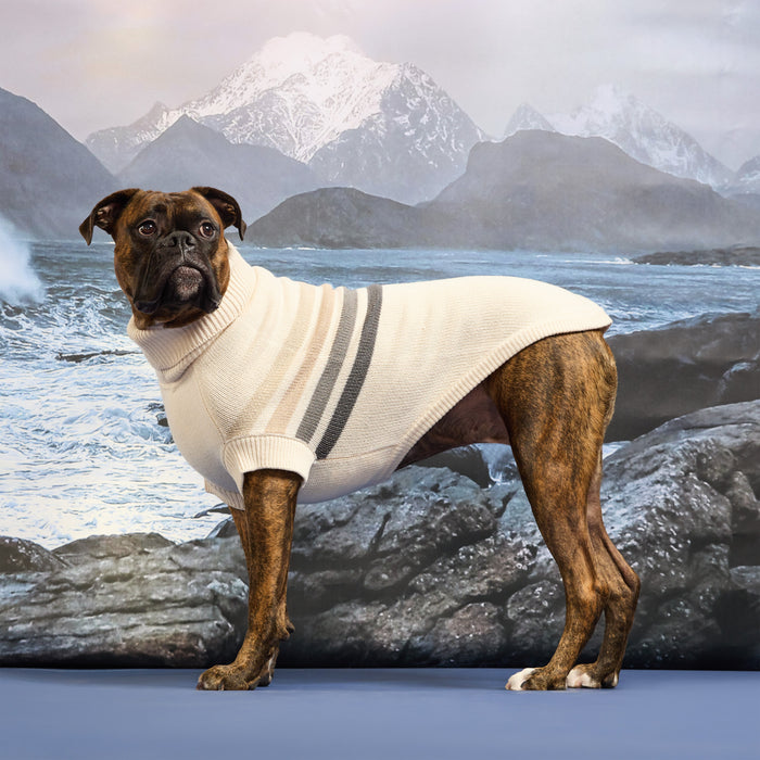 Coastline Knit Sweater