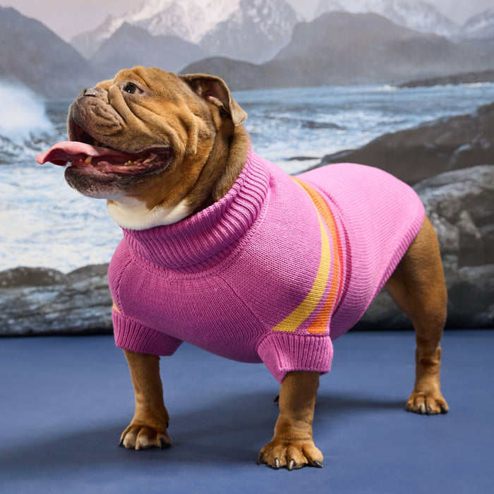 Coastline Knit Sweater
