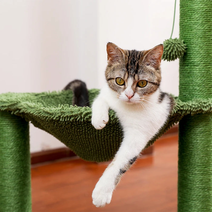 Cactus Scratching Post