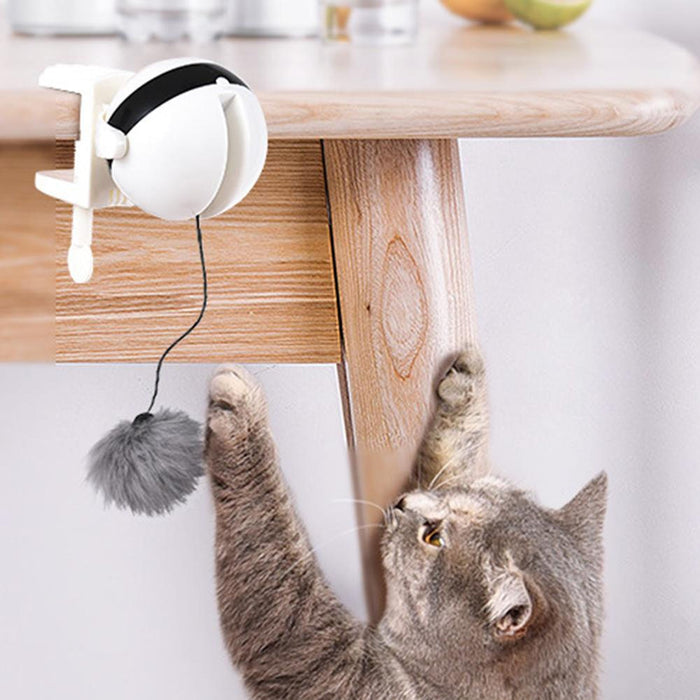 Lifting Ball Cats Teaser Toy - NALA'S Pet Closet