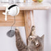 Lifting Ball Cats Teaser Toy - NALA'S Pet Closet