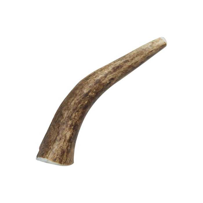 Natural Elk Antlers - Whole