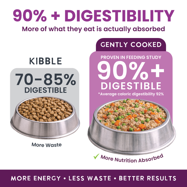 Human-Grade Gently-Cooked Fresh Dog Food, Grain-Free Vegetarian (Adult Maintenance)