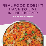 Human-Grade Gently-Cooked Fresh Dog Food, Grain-Free Vegetarian (Adult Maintenance)