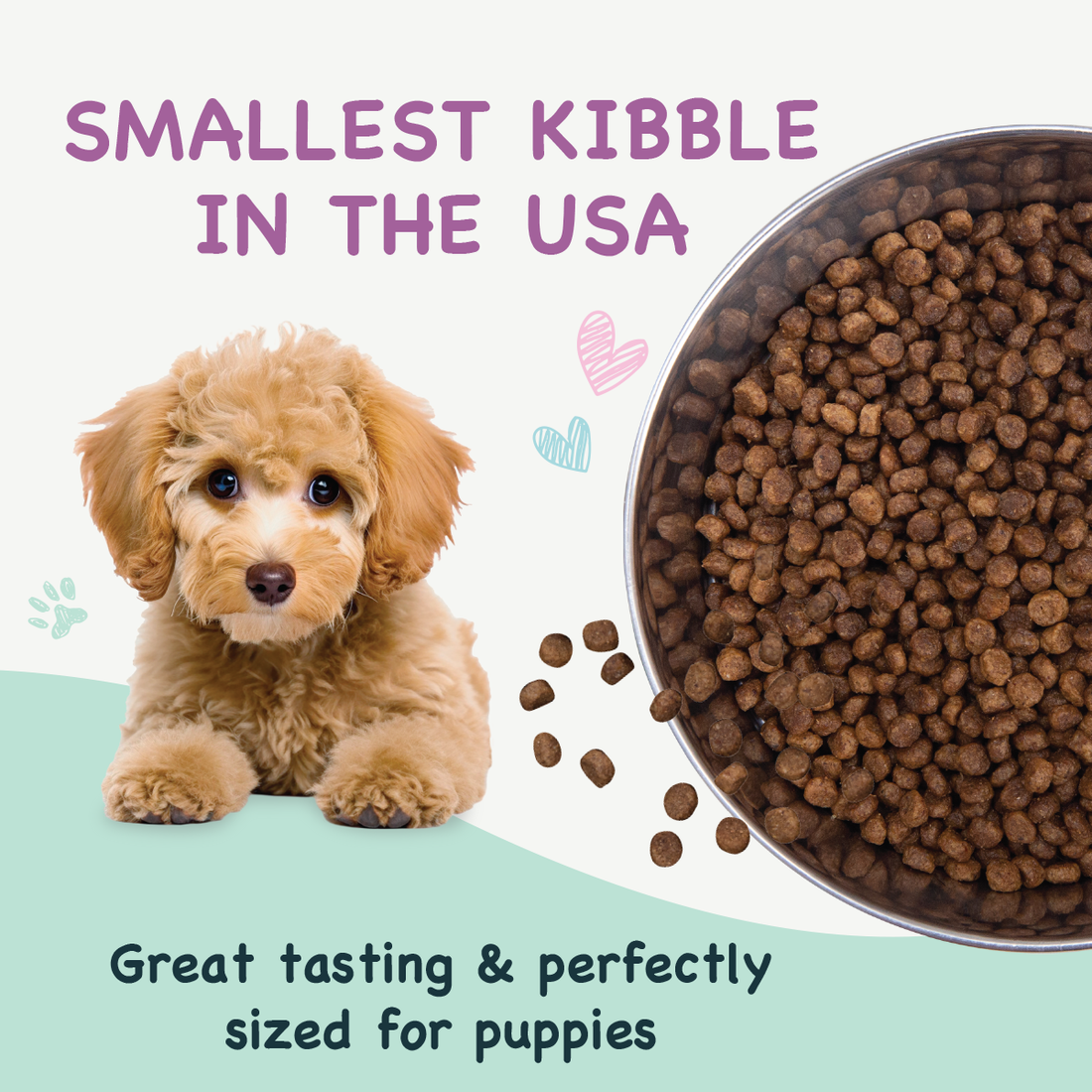 Puppy Little Bites