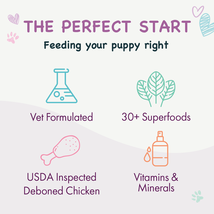 Puppy Little Bites