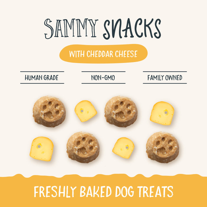Sammy Snacks With Cheddar Cheese