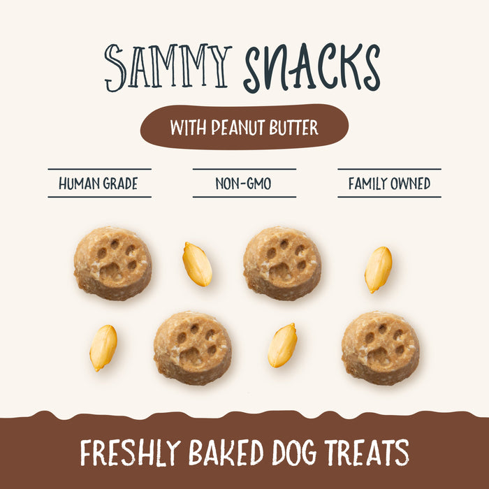 Sammy Snacks With Peanut Butter