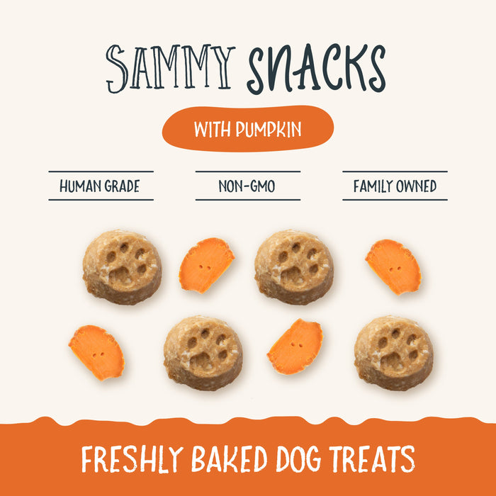 Sammy Snacks With Pumpkin