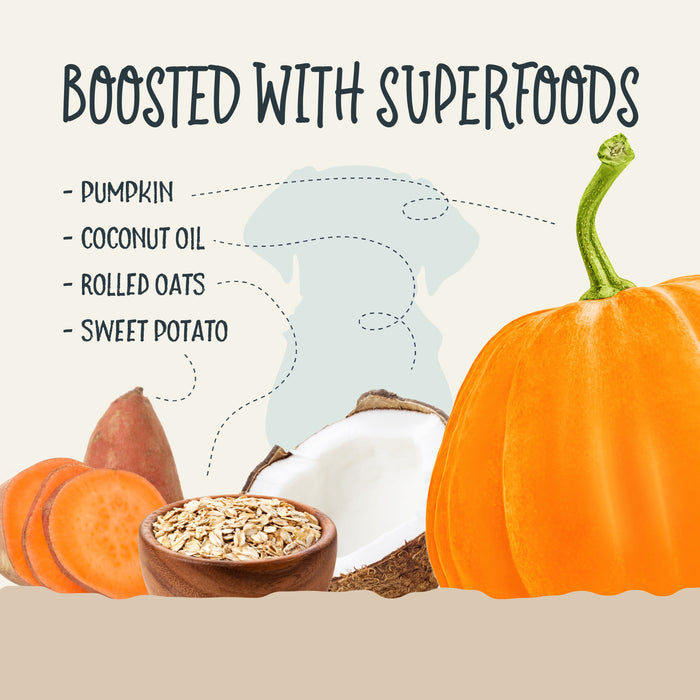 Sammy Snacks With Pumpkin