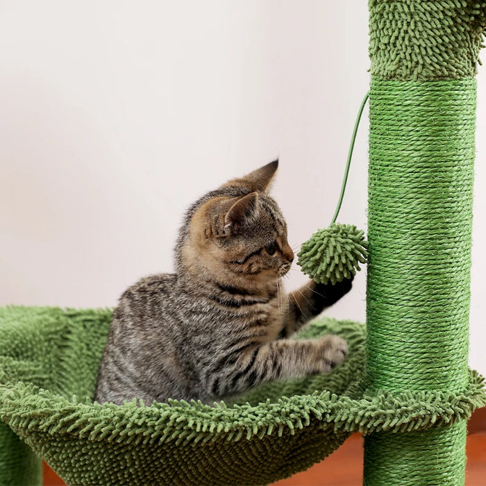 Cactus Scratching Post