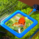Aquarium Feeder - NALA'S Pet Closet