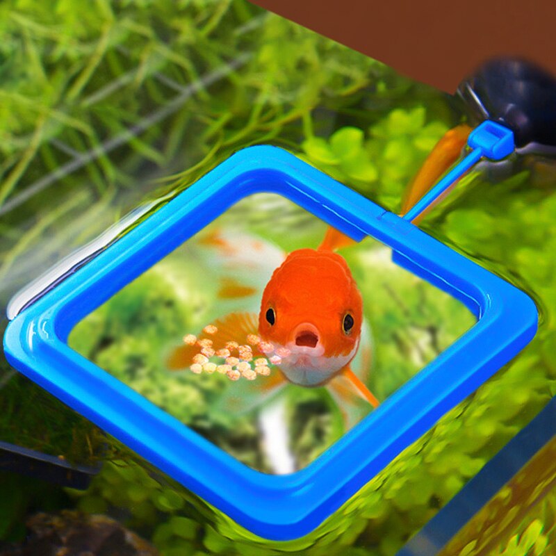 Aquarium Feeder - NALA'S Pet Closet