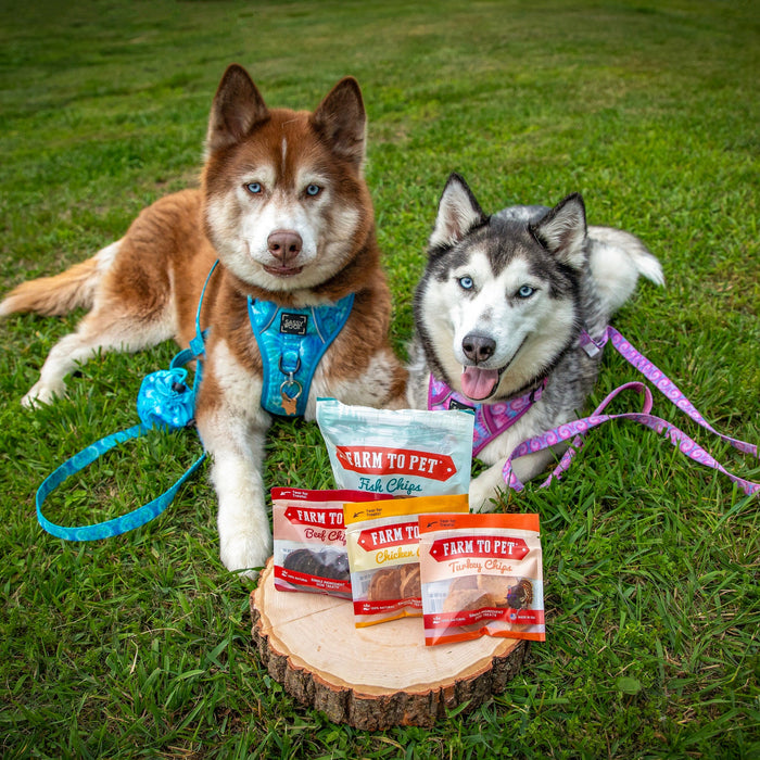 Puppy Packs 'N Snacks Dog Treat Starter